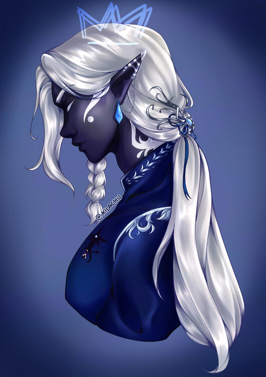 Ritratto di un mio personaggio originale, immaginato in un ipotetico futuro in cui sarà re.